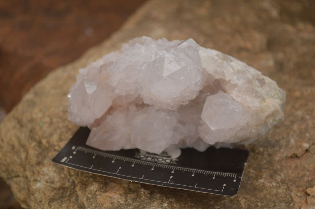 Natural Spirit Cactus Flower Quartz Clusters x 3 From Boekenhouthoek, South Africa - Toprock Gemstones and Minerals 