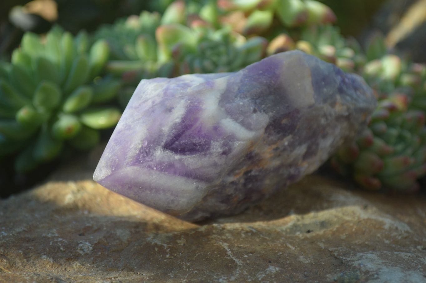 Polished Chevron Amethyst Points x 6 From Zambia - Toprock Gemstones and Minerals 