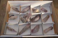 Natural Long Amethyst Crystals  x 12 From Chiredzi, Zimbabwe - Toprock Gemstones and Minerals 