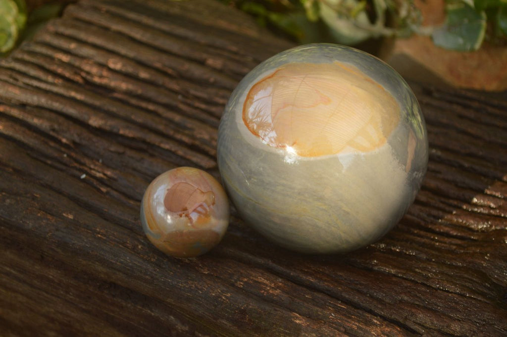 Polished  Polychrome / Picasso Jasper Spheres  x 2 From Mahajanga, Madagascar - Toprock Gemstones and Minerals 
