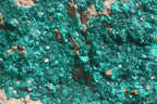 Natural Rare Massive Emerald Dioptase Specimen  x 1 From Congo - TopRock
