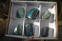 Polished Blue Shattuckite Free Forms  x 6 From Kaokoveld, Namibia - Toprock Gemstones and Minerals 