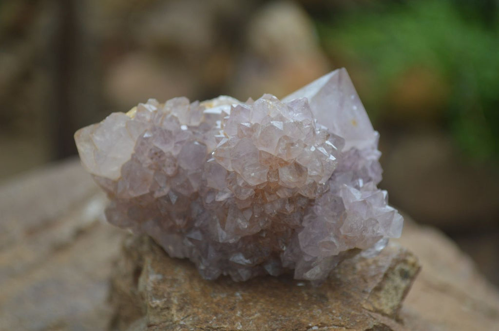 Natural Spirit Amethyst Quartz Clusters  x 6 From Boekenhouthoek, South Africa - Toprock Gemstones and Minerals 
