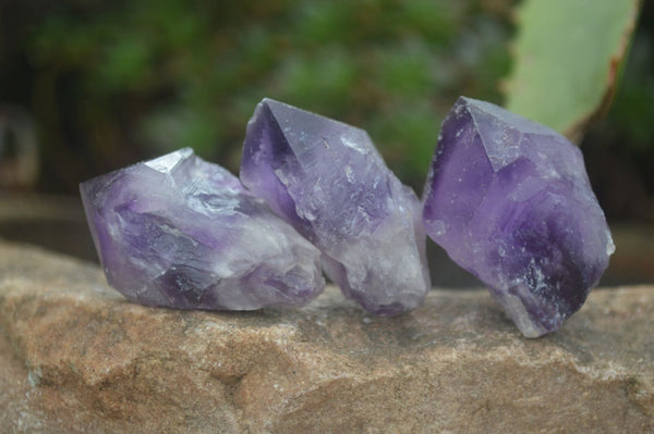Polished Small Single Amethyst Crystals  x 70 From Zambia - Toprock Gemstones and Minerals 
