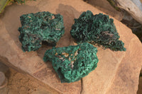 Natural Chatoyant Silky Malachite Specimens  x 3 From Kasompe, Congo - Toprock Gemstones and Minerals 