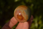Polished  Polychrome / Picasso Jasper Spheres  x 2 From Mahajanga, Madagascar - Toprock Gemstones and Minerals 