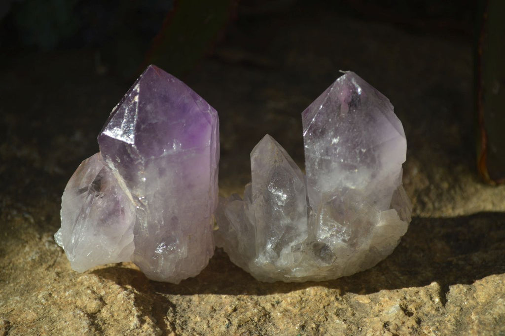 Natural Single Jacaranda Amethyst Crystals x 12 From Mumbwe, Zambia - Toprock Gemstones and Minerals 