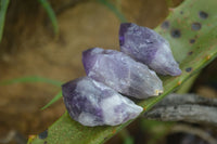 Polished Small Single Amethyst Crystals  x 70 From Zambia - Toprock Gemstones and Minerals 