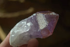 Natural Jacaranda Amethyst Crystals x 12 From Mumbwa, Zambia - Toprock Gemstones and Minerals 