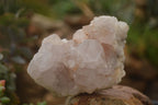 Natural Spirit Cactus Flower Quartz Clusters x 3 From Boekenhouthoek, South Africa - Toprock Gemstones and Minerals 