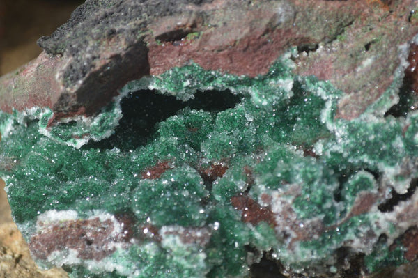 Natural Exquisite Bright Green Drusy Quartz Coated Malachite On Red Copper Dolomite Specimen  x 1 From Likasi, Congo - Toprock Gemstones and Minerals 