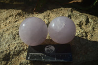 Polished Rare Blue Star Rose Quartz Spheres x 3 From Ambatondrazaka, Madagascar - Toprock Gemstones and Minerals 