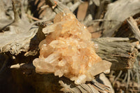 Natural Mixed Quartz Clusters  x 12 From Madagascar - TopRock