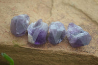 Polished Small Single Amethyst Crystals  x 70 From Zambia - Toprock Gemstones and Minerals 
