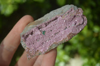 Natural Salrose Cobaltion Dolomite Specimens x 12 From Kakanda, Congo - Toprock Gemstones and Minerals 