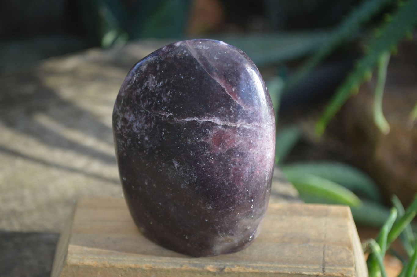 Polished Purple Lepidolite Free Forms  x 6 From Zimbabwe - Toprock Gemstones and Minerals 