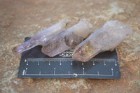 Natural Long Amethyst Crystals  x 12 From Chiredzi, Zimbabwe - Toprock Gemstones and Minerals 