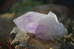 Natural Single Jacaranda Amethyst Crystals x 12 From Mumbwe, Zambia - Toprock Gemstones and Minerals 