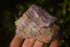 Natural Rough Stichtite & Serpentine Specimens x 12 From Barberton, South Africa - Toprock Gemstones and Minerals 