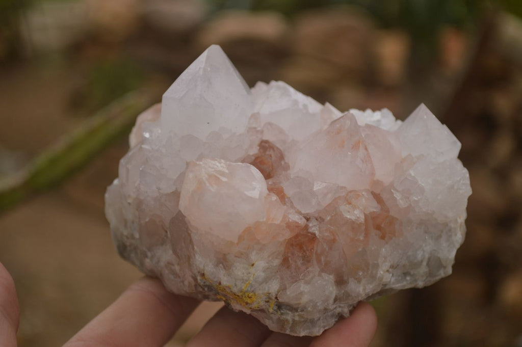 Natural Spirit Cactus Flower Quartz Clusters x 3 From Boekenhouthoek, South Africa - Toprock Gemstones and Minerals 