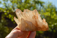 Natural Mixed Quartz Clusters  x 12 From Madagascar - TopRock