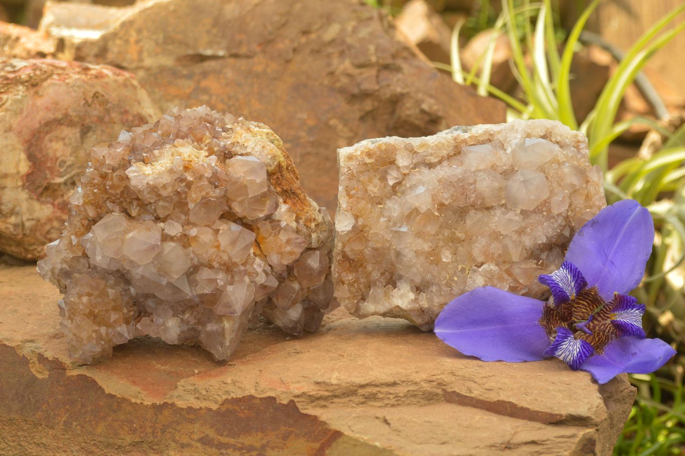 Polished Large Spirit Quartz Clusters  x 2 From Boekenhouthoek, South Africa - TopRock