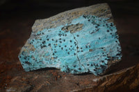Natural Drusy Coated Chrysocolla & Malachite Dolomite Specimens x 7 From Congo - Toprock Gemstones and Minerals 