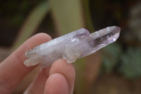 Natural Long Amethyst Crystals  x 12 From Chiredzi, Zimbabwe - Toprock Gemstones and Minerals 