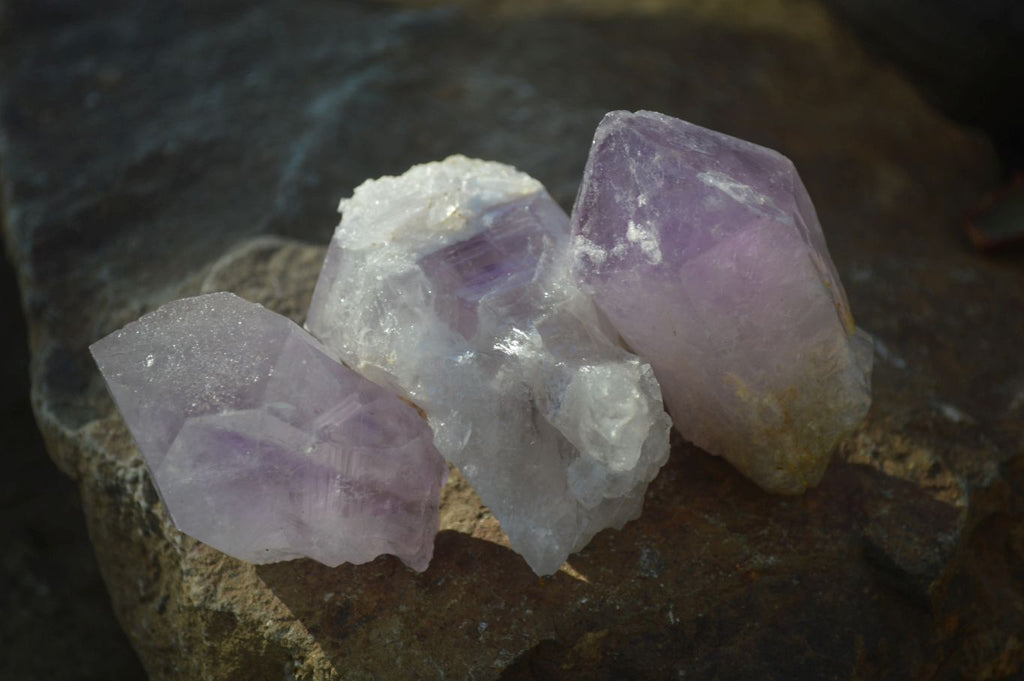 Natural Single Jacaranda Amethyst Crystals x 12 From Mumbwe, Zambia - Toprock Gemstones and Minerals 