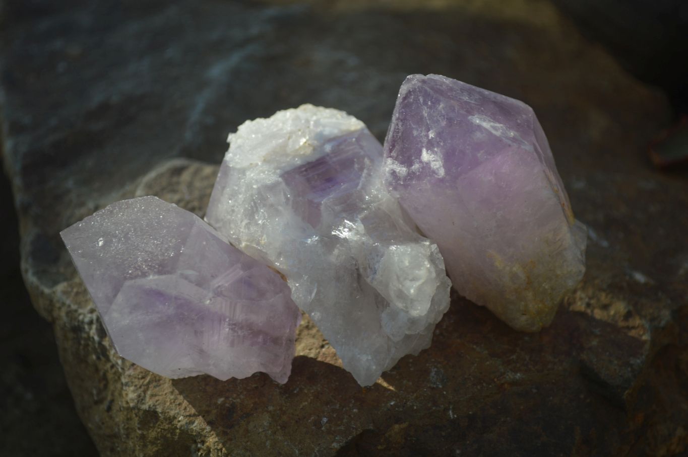 Natural Single Jacaranda Amethyst Crystals x 12 From Mumbwe, Zambia - Toprock Gemstones and Minerals 
