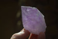 Natural Jacaranda Amethyst Crystals x 12 From Mumbwa, Zambia - Toprock Gemstones and Minerals 
