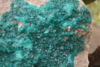 Natural Rare Massive Emerald Dioptase Specimen  x 1 From Congo - TopRock