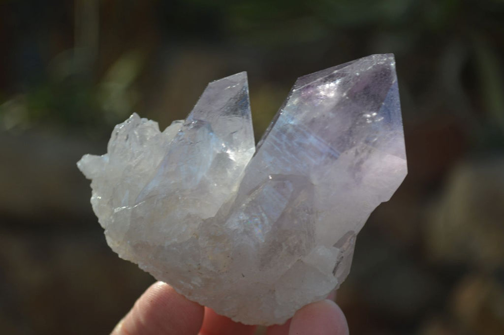Natural Single Jacaranda Amethyst Crystals x 12 From Mumbwe, Zambia - Toprock Gemstones and Minerals 
