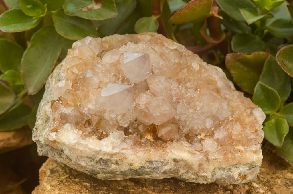 Polished Large Spirit Quartz Clusters  x 2 From Boekenhouthoek, South Africa - TopRock