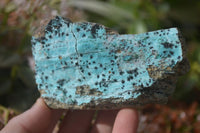 Natural Drusy Coated Chrysocolla & Malachite Dolomite Specimens x 7 From Congo - Toprock Gemstones and Minerals 