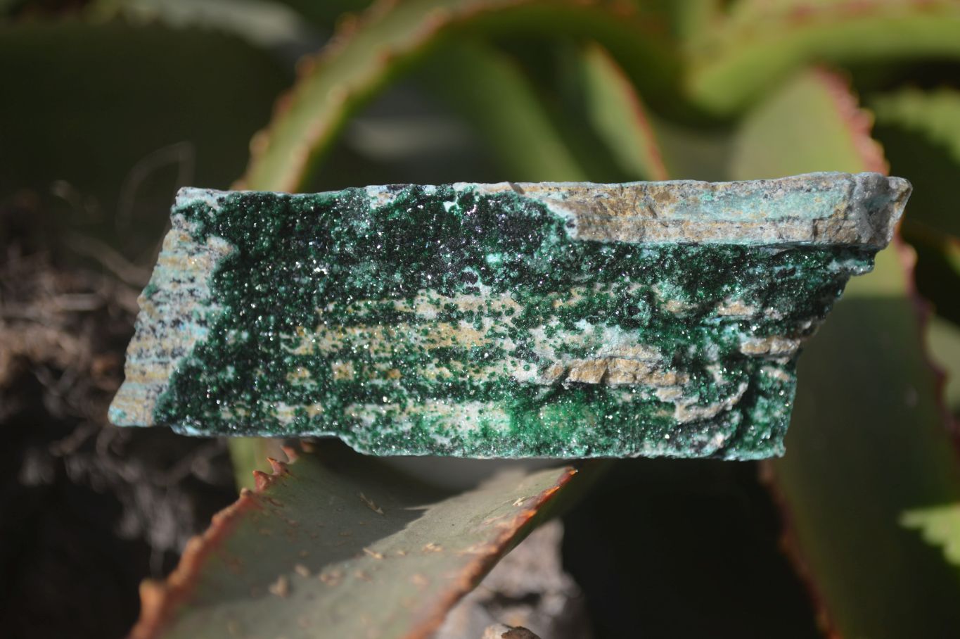 Natural Drusy Coated Chrysocolla & Malachite Dolomite Specimens x 7 From Congo - Toprock Gemstones and Minerals 