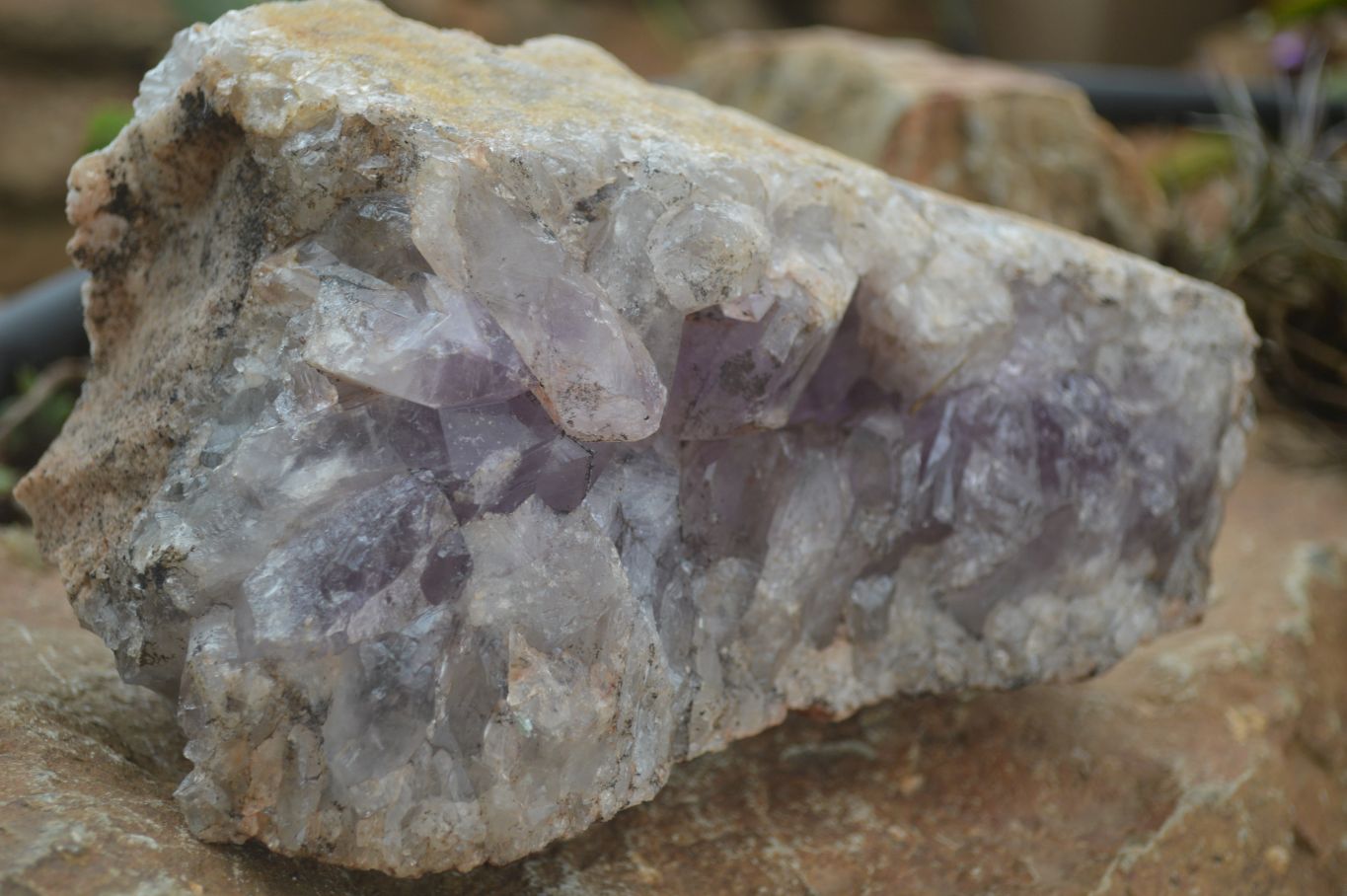 Natural Jacaranda Amethyst Cluster x 1 From Mumbwa, Zambia - TopRock