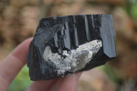 Natural Schorl Black Tourmaline Specimens x 2 From Erongo Mountains, Namibia - TopRock