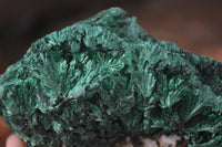 Natural Chatoyant Silky Malachite Specimens  x 3 From Kasompe, Congo - Toprock Gemstones and Minerals 