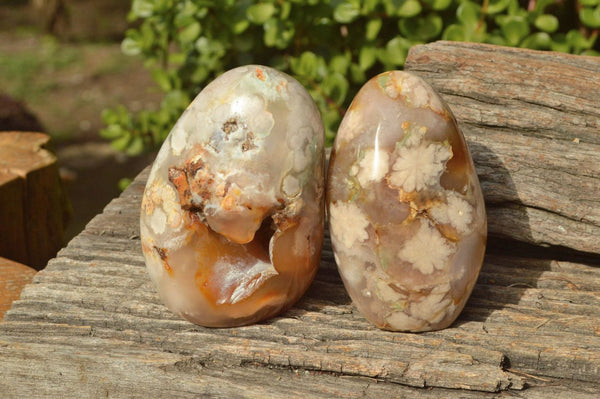 Polished Coral Flower Agate Standing Free Forms & Spheres x 3 From Madagascar - TopRock