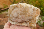 Polished Large Spirit Quartz Clusters  x 2 From Boekenhouthoek, South Africa - TopRock
