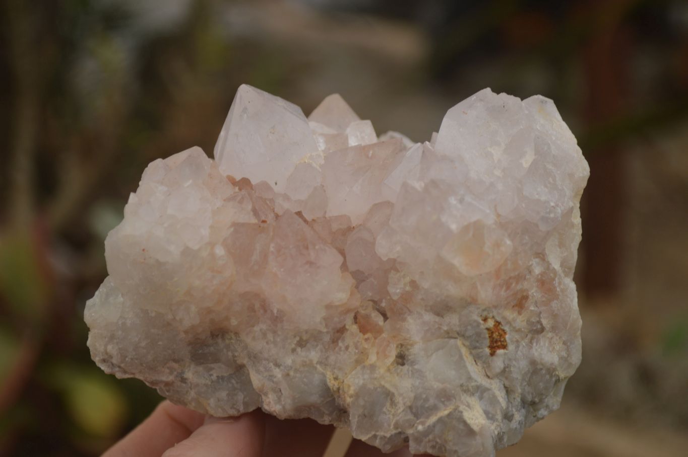 Natural Spirit Cactus Flower Quartz Clusters x 3 From Boekenhouthoek, South Africa - Toprock Gemstones and Minerals 