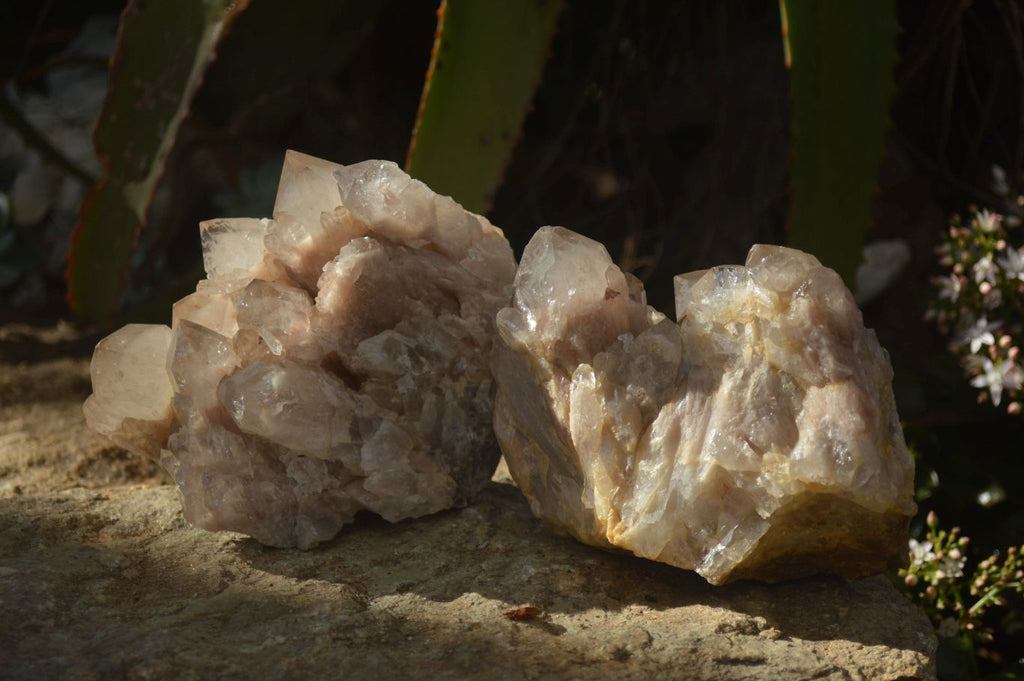 Natural Cascading Smokey Quartz Clusters x 2 From Luena, Congo - Toprock Gemstones and Minerals 