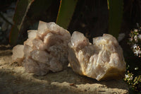 Natural Cascading Smokey Quartz Clusters x 2 From Luena, Congo - Toprock Gemstones and Minerals 
