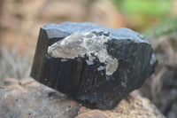 Natural Schorl Black Tourmaline Specimens x 2 From Erongo Mountains, Namibia - TopRock