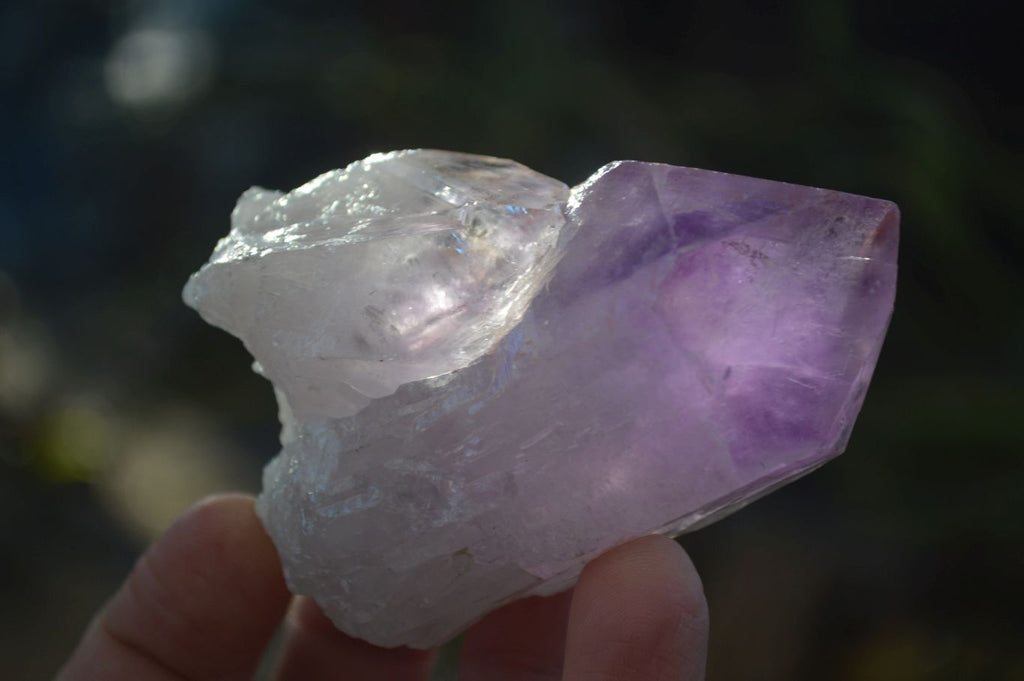 Natural Single Jacaranda Amethyst Crystals x 12 From Mumbwe, Zambia - Toprock Gemstones and Minerals 