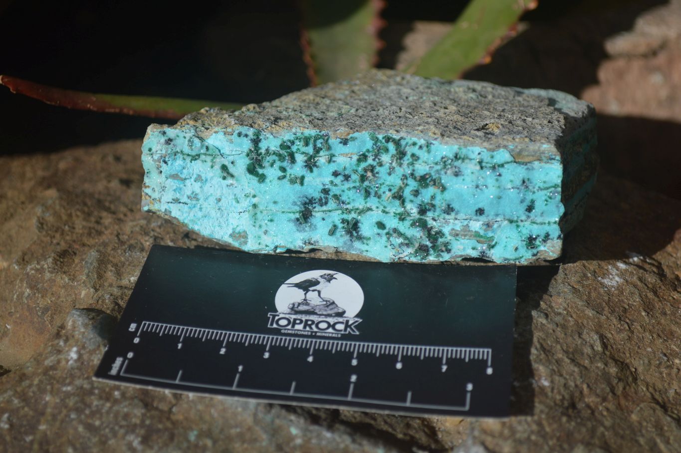 Natural Drusy Coated Chrysocolla & Malachite Dolomite Specimens x 7 From Congo - Toprock Gemstones and Minerals 