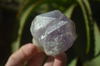 Natural Jacaranda Amethyst Crystals x 12 From Mumbwa, Zambia - Toprock Gemstones and Minerals 