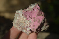 Natural Salrose Cobaltion Dolomite Specimens x 12 From Kakanda, Congo - Toprock Gemstones and Minerals 