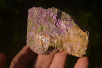 Natural Rough Stichtite & Serpentine Specimens x 12 From Barberton, South Africa - Toprock Gemstones and Minerals 